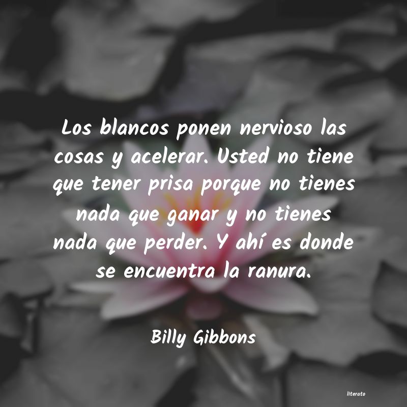 Frases de Billy Gibbons