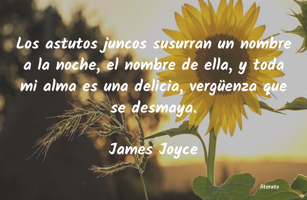 Frases de James Joyce