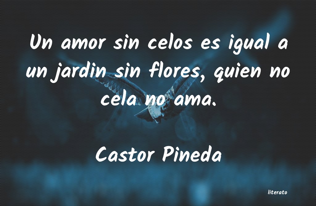 Frases de Castor Pineda