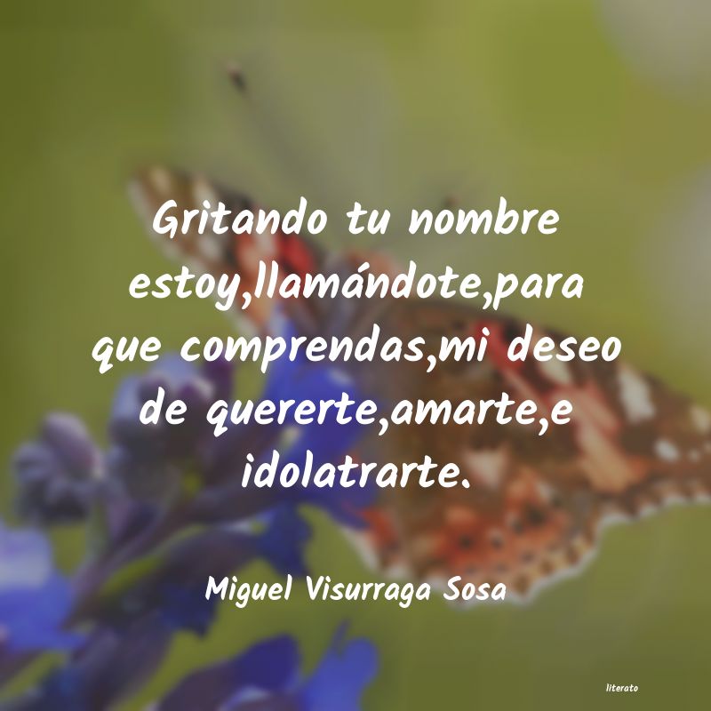 Frases de Miguel Visurraga Sosa