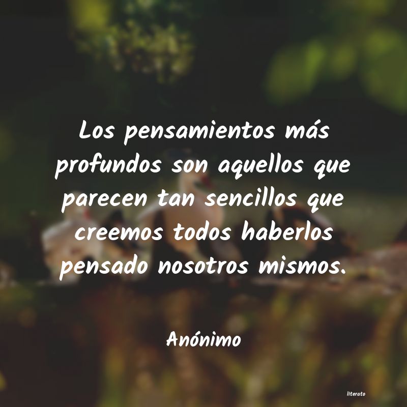 frases