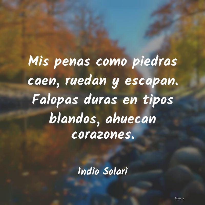 Frases de Indio Solari