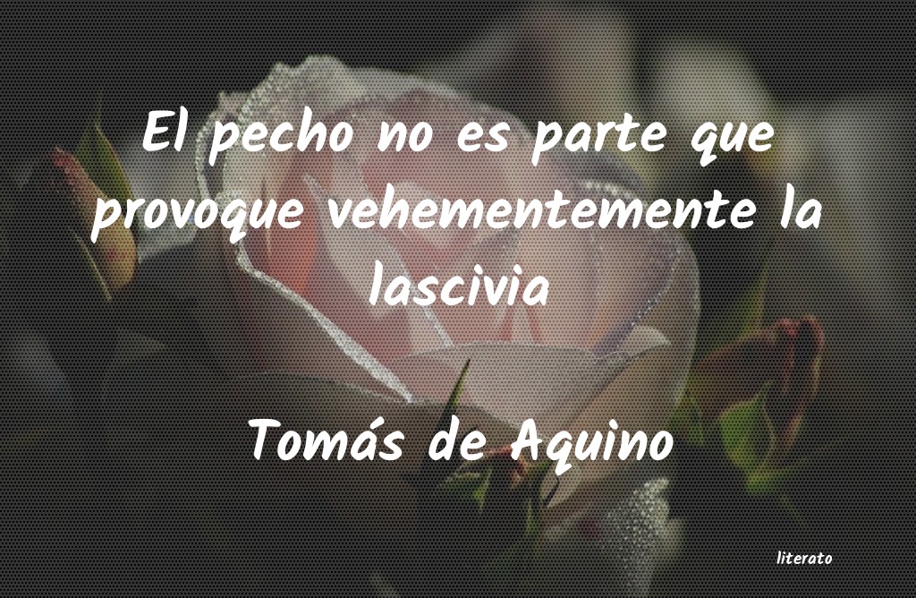 Frases de Tomás de Aquino