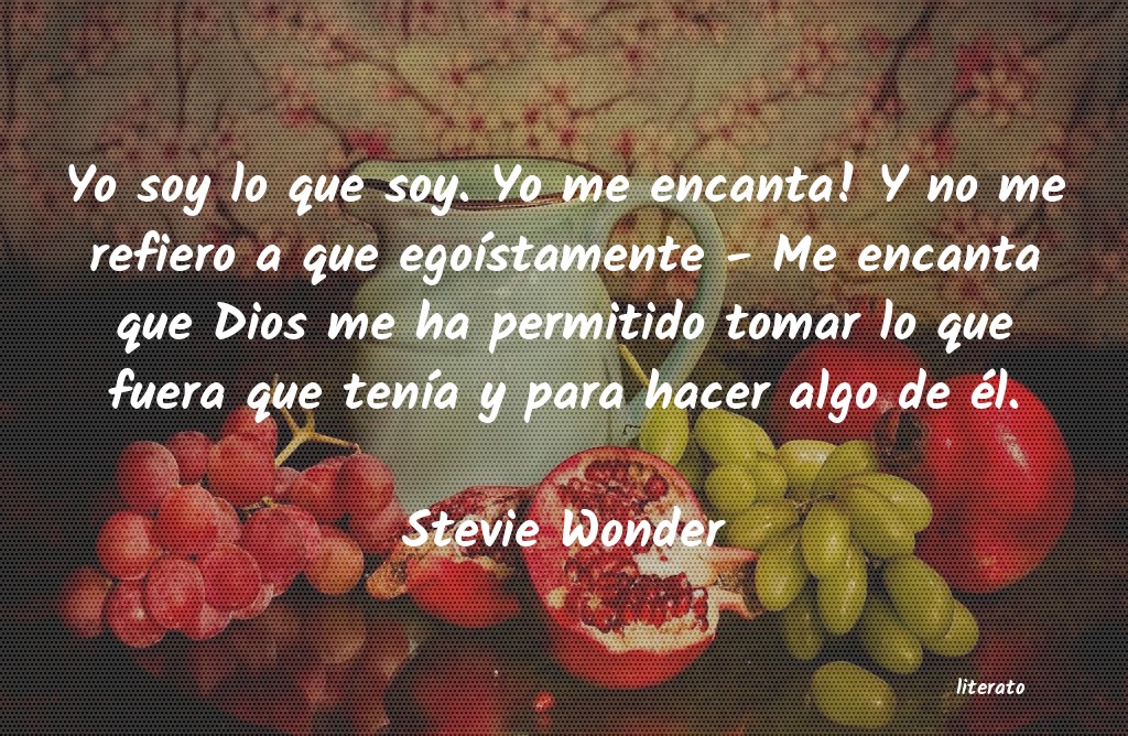 frases de Stevie Wonder