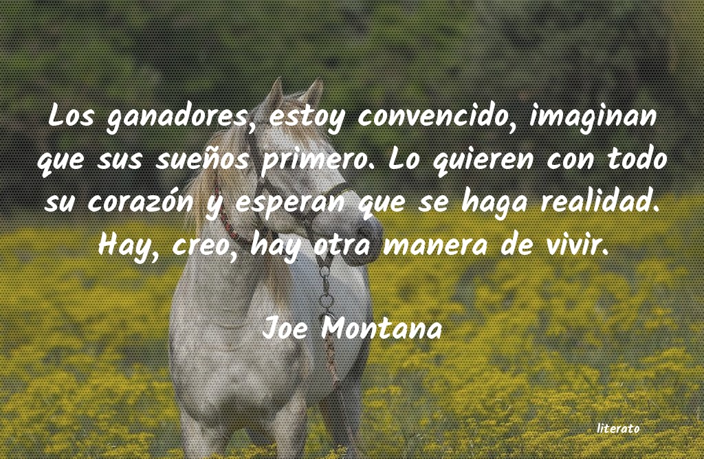 frases de Joe Montana