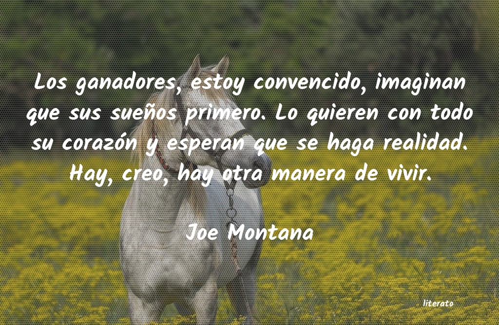 Frases de Joe Montana