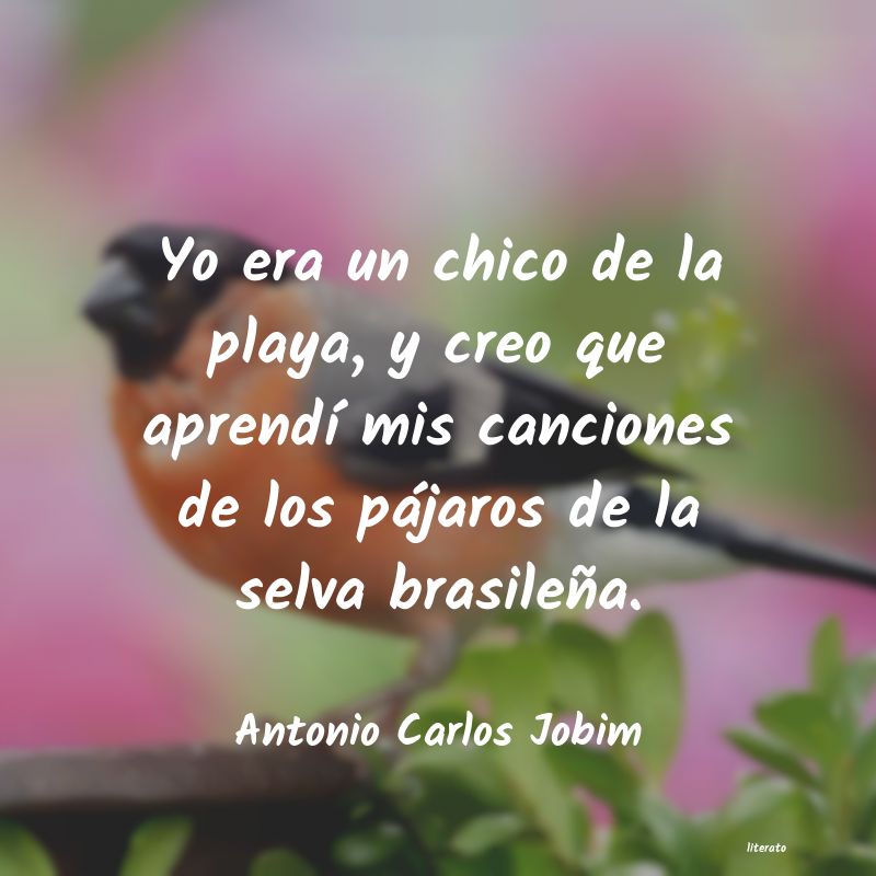 Frases de Antonio Carlos Jobim