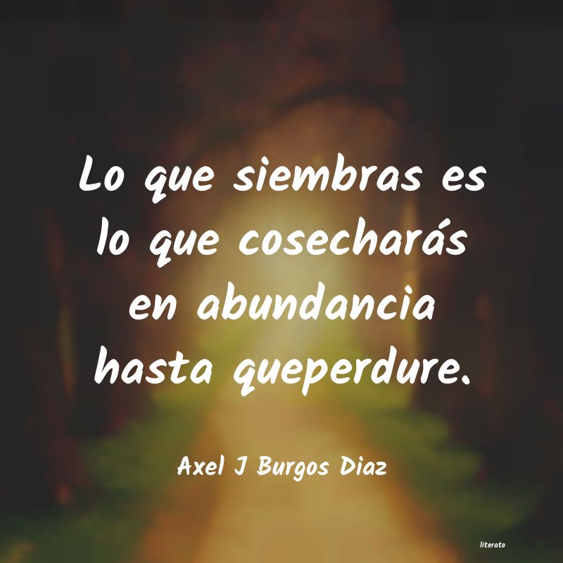 Frases de Axel J Burgos Diaz