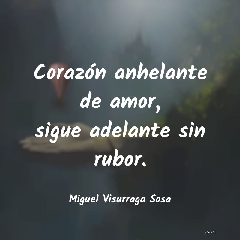 frases de Miguel Visurraga Sosa