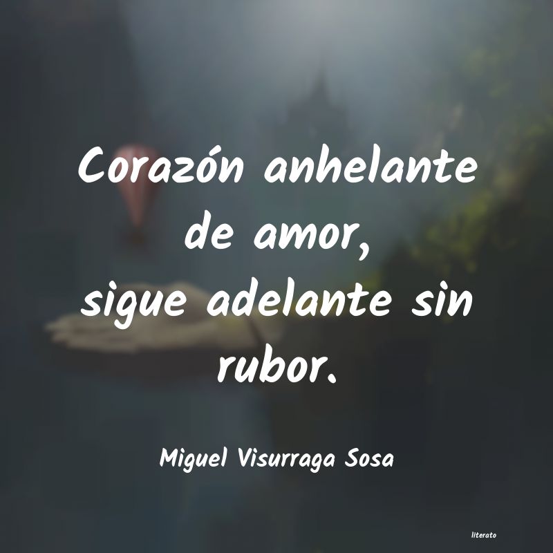 Frases de Miguel Visurraga Sosa