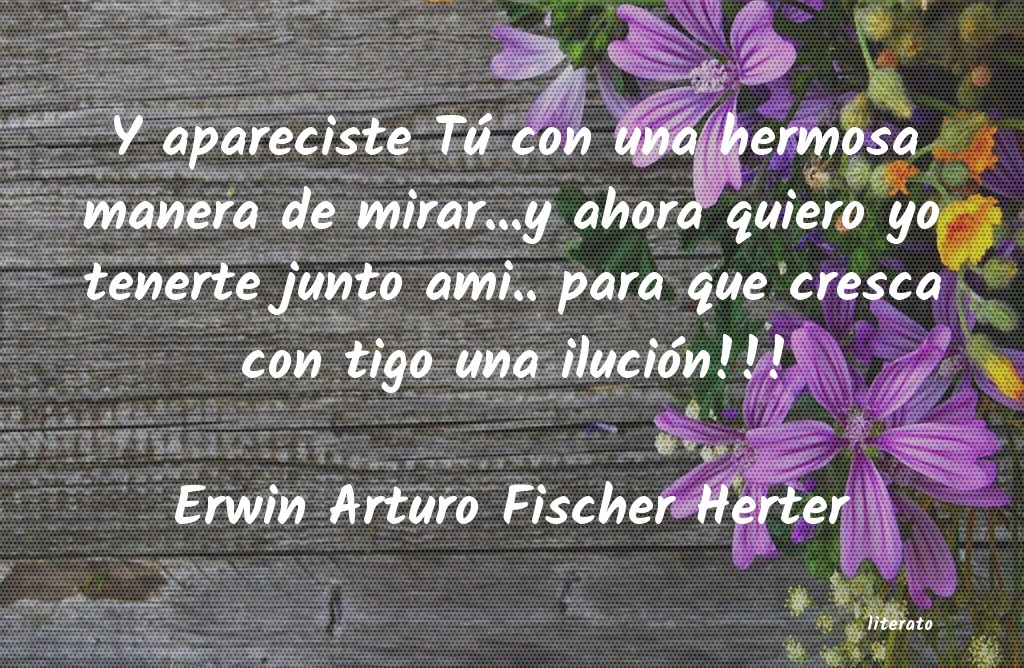 Frases de Erwin Arturo Fischer Herter