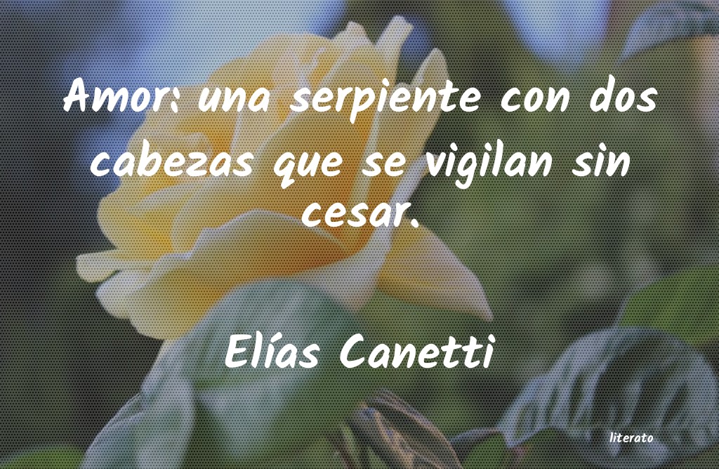 Frases de Elías Canetti