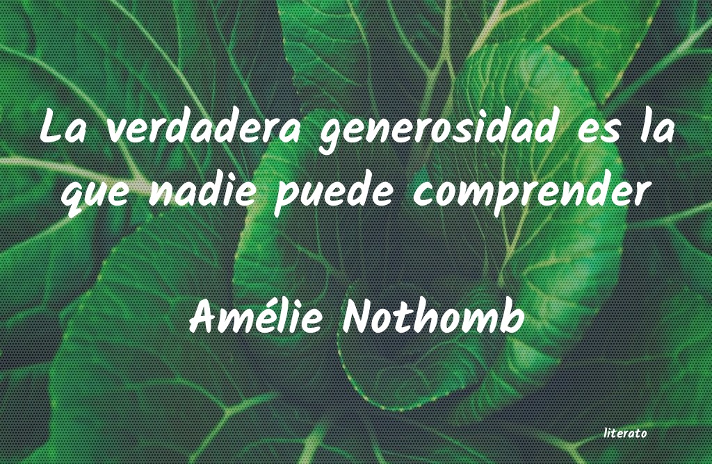frases de Amélie Nothomb