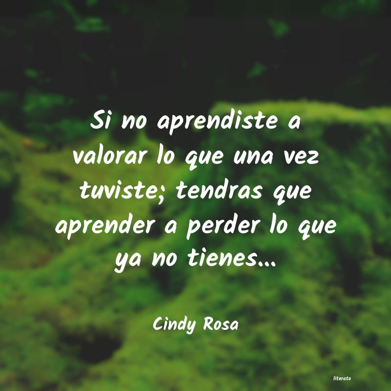 Frases de Cindy Rosa