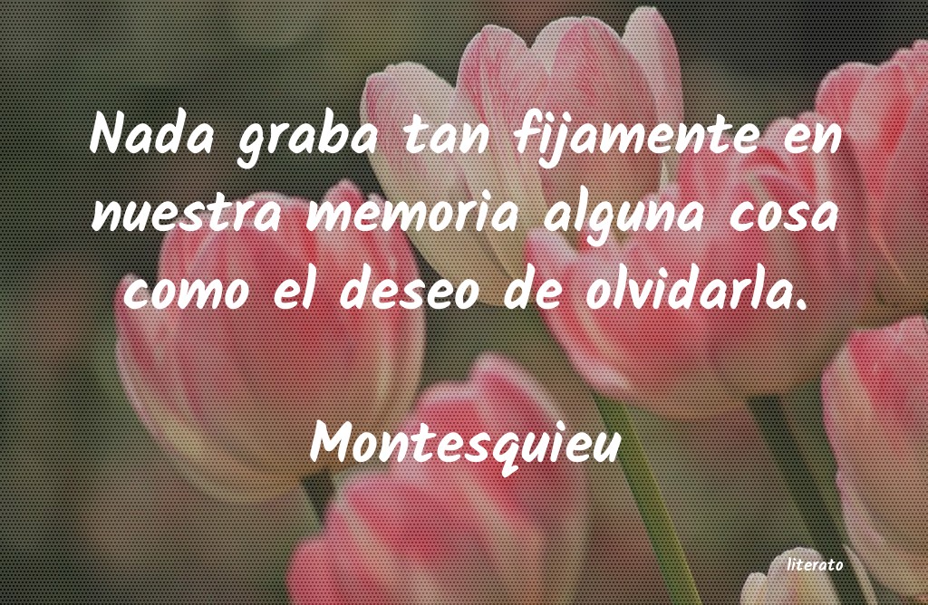 Frases de Montesquieu