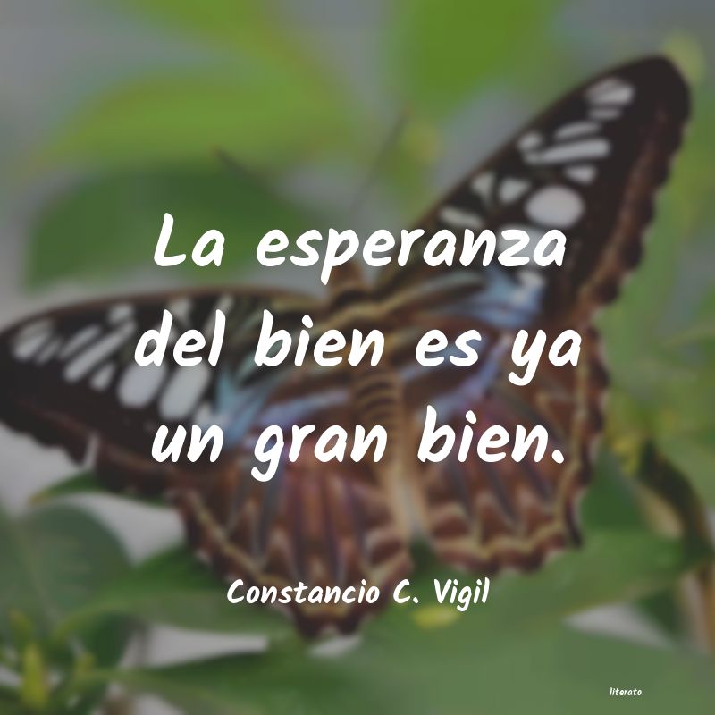 Frases de Constancio C. Vigil