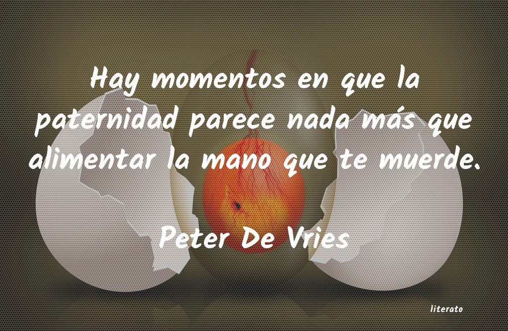 frases de Peter De Vries