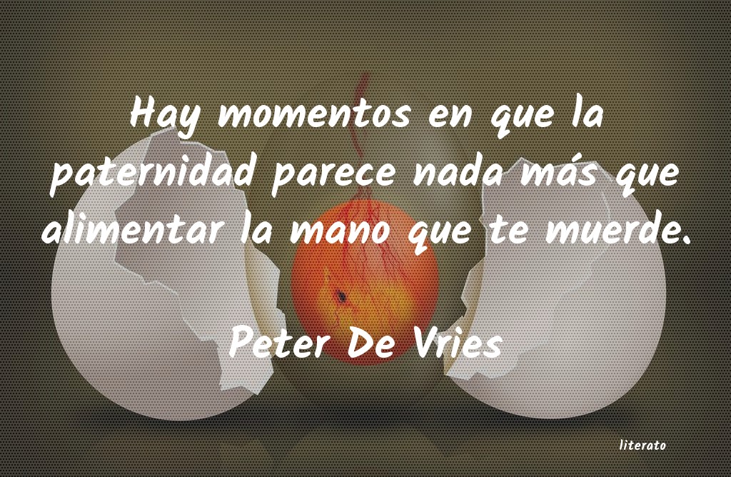 Frases de Peter De Vries