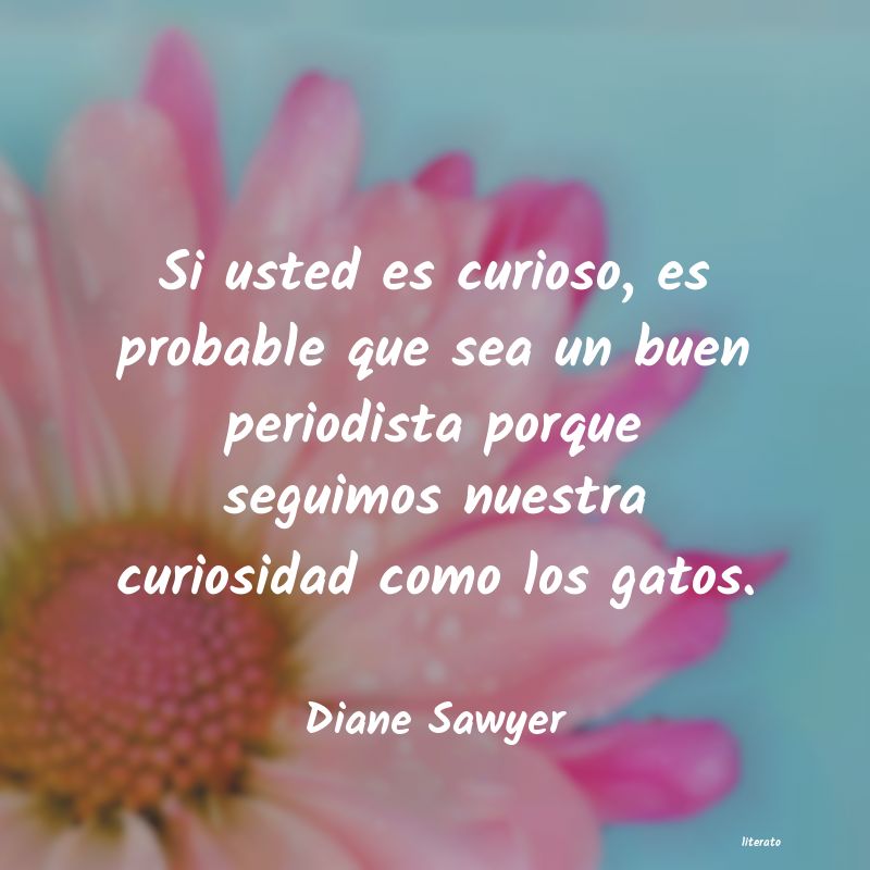 Frases de Diane Sawyer