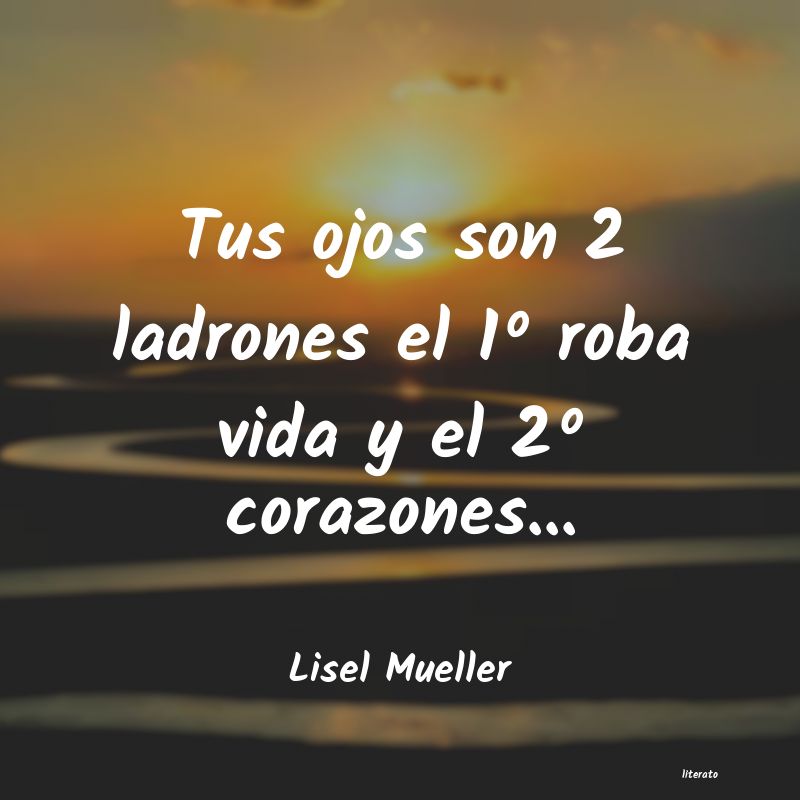 Frases de Lisel Mueller