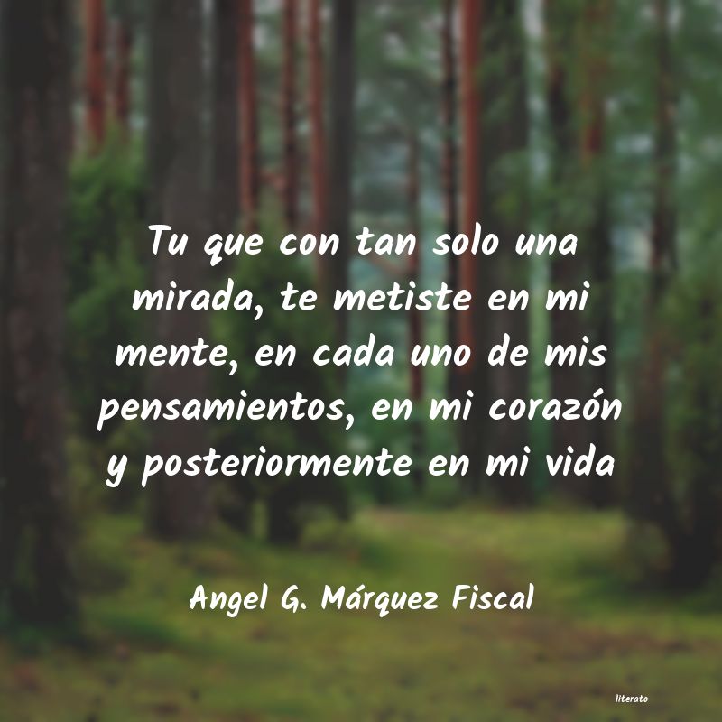 Frases de Angel G. Márquez Fiscal