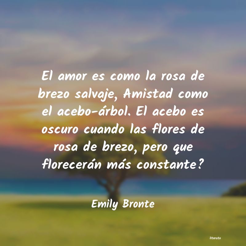 frases de Emily Bronte