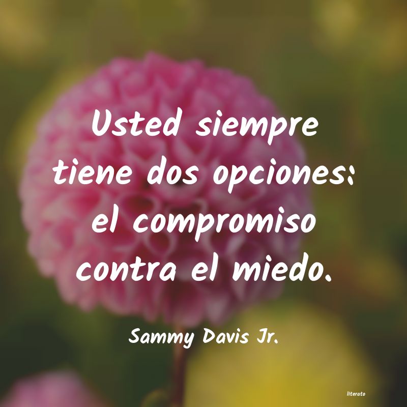 Frases de Sammy Davis Jr.