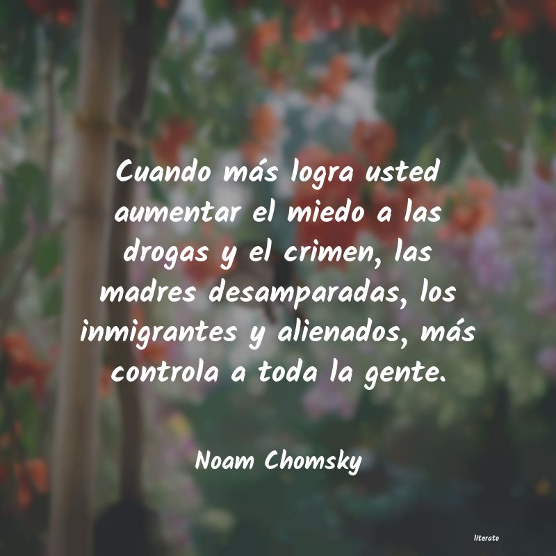 Frases de Noam Chomsky