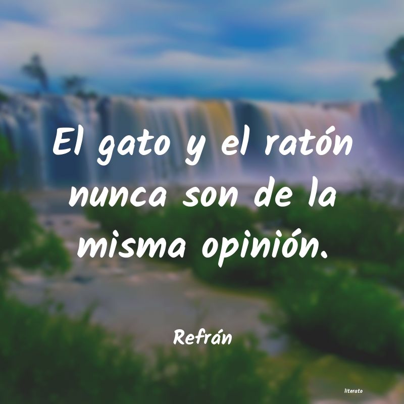 frases de Refrán
