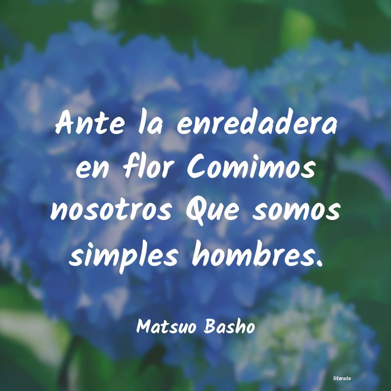 Frases de Matsuo Basho