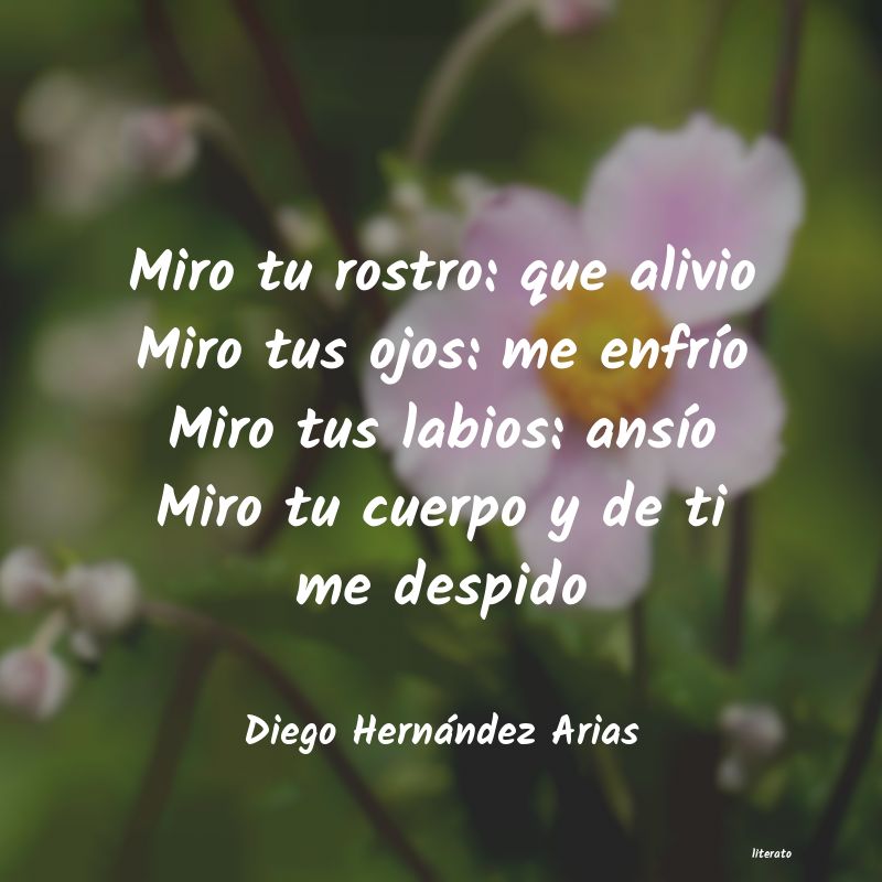 Frases de Diego Hernández Arias