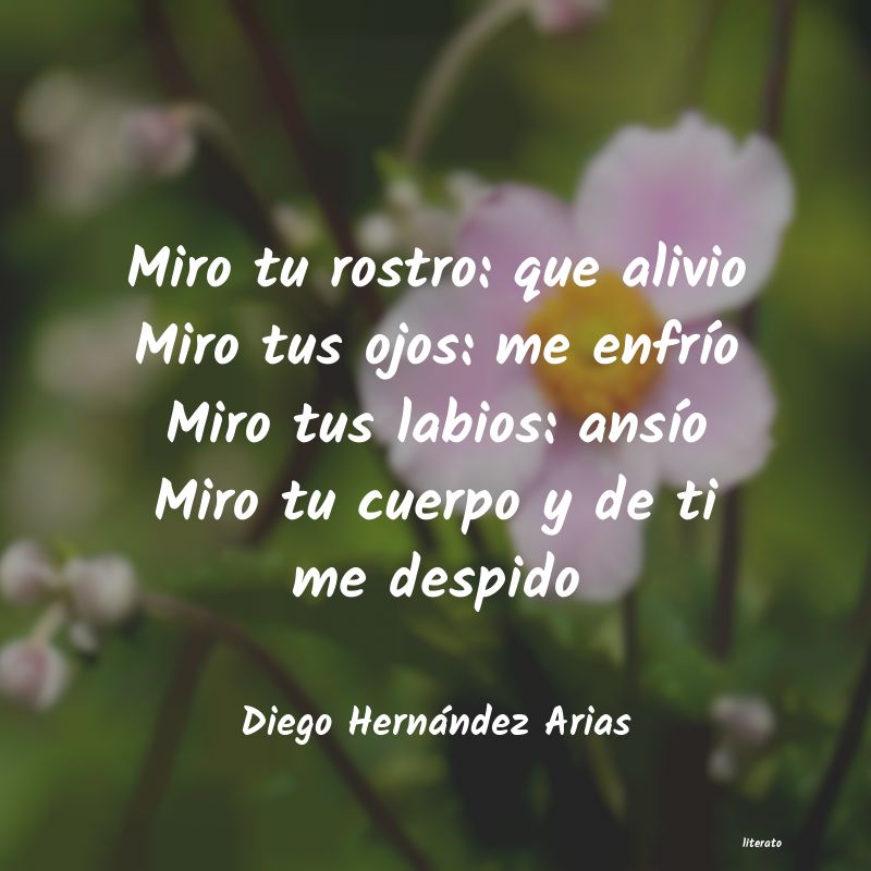 frases de Diego Hernández Arias