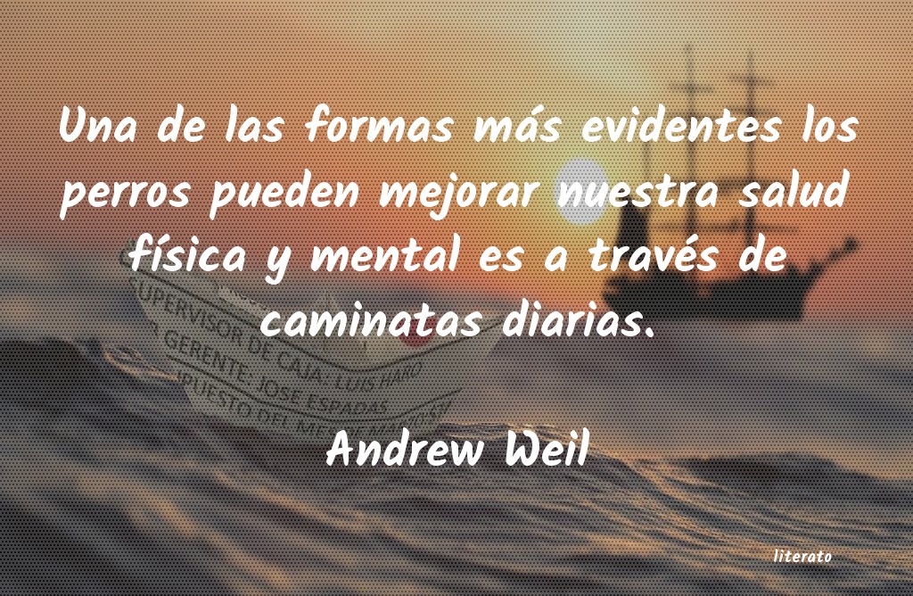 Frases de Andrew Weil