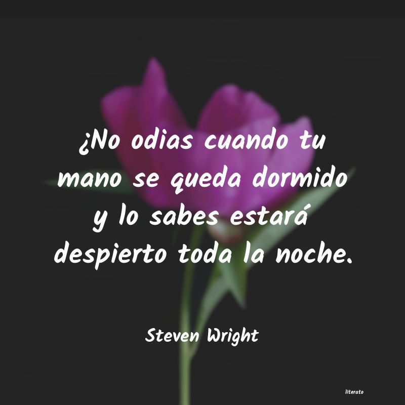 Frases de Steven Wright