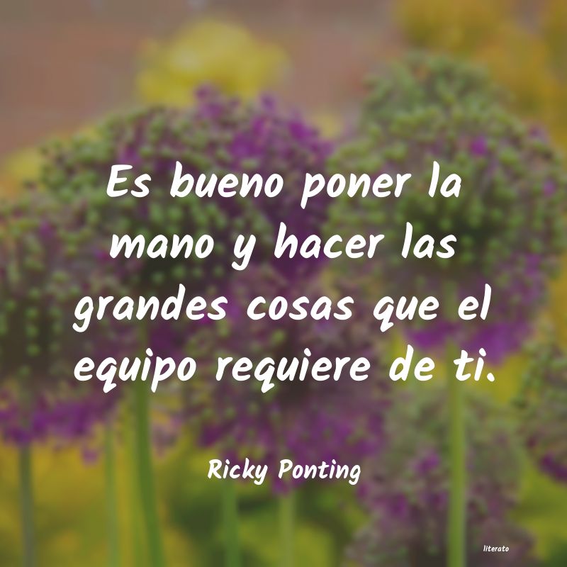Frases de Ricky Ponting