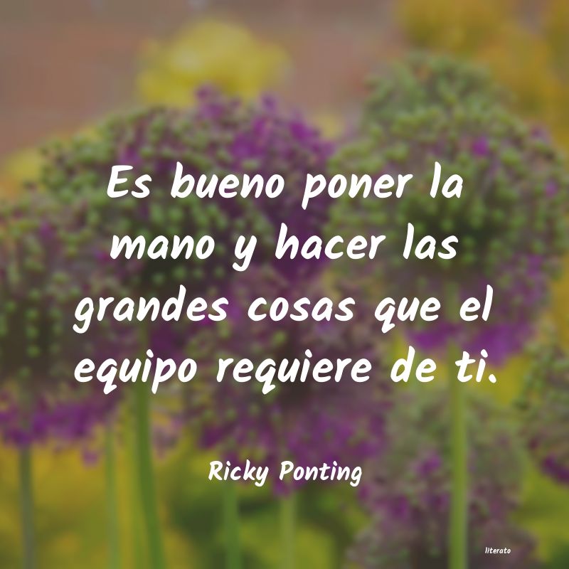 frases de Ricky Ponting