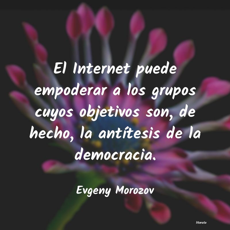 Frases de Evgeny Morozov