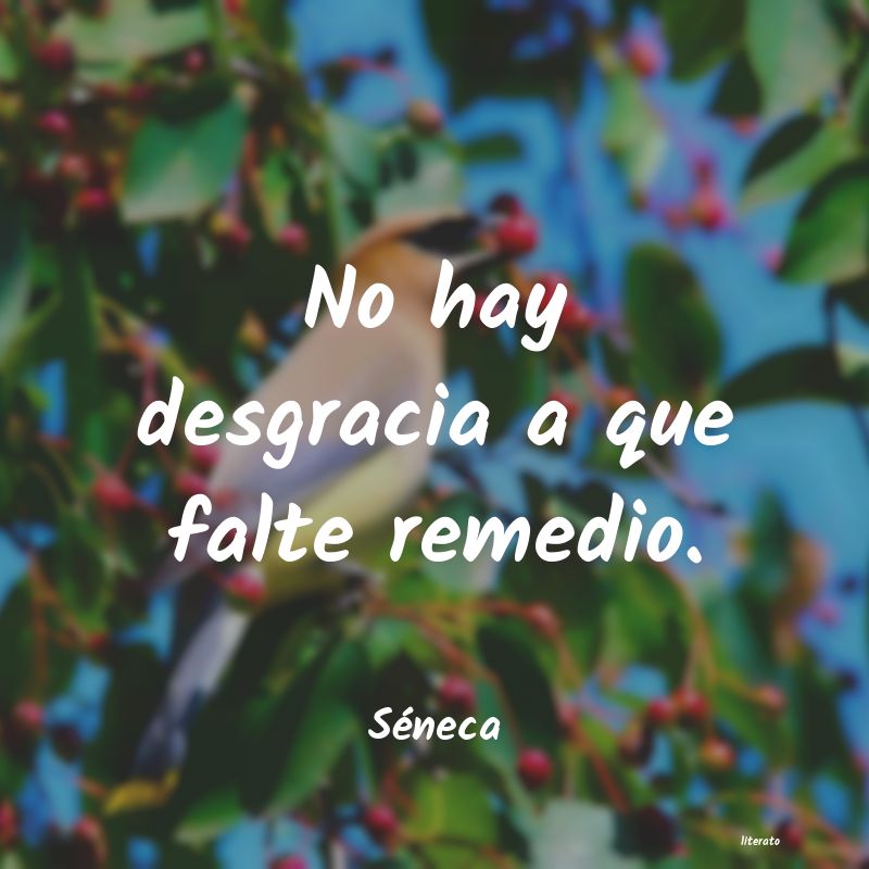 frases de Séneca