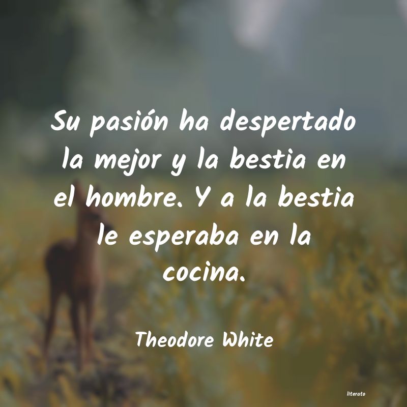 frases de Theodore White