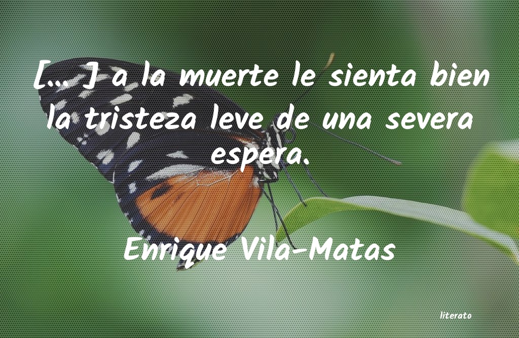 Frases de Enrique Vila-Matas