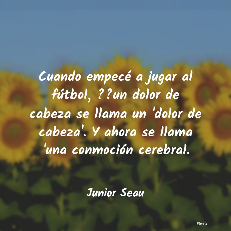 frases de Junior Seau
