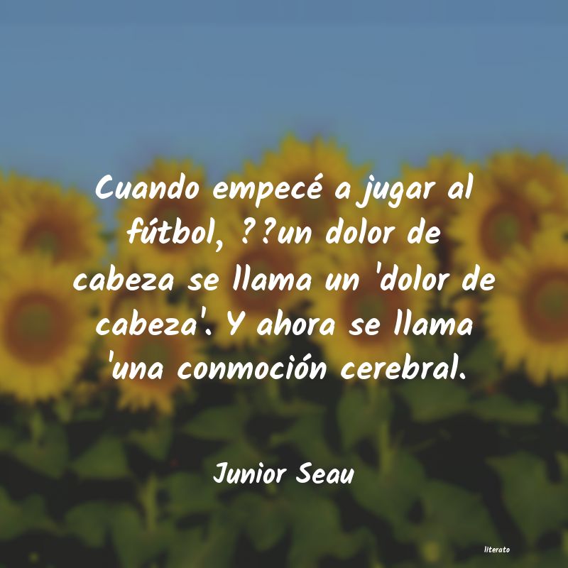 Frases de Junior Seau