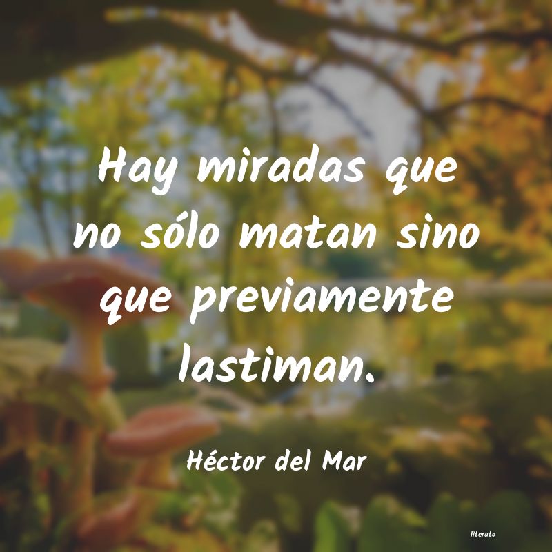 frases de mirada