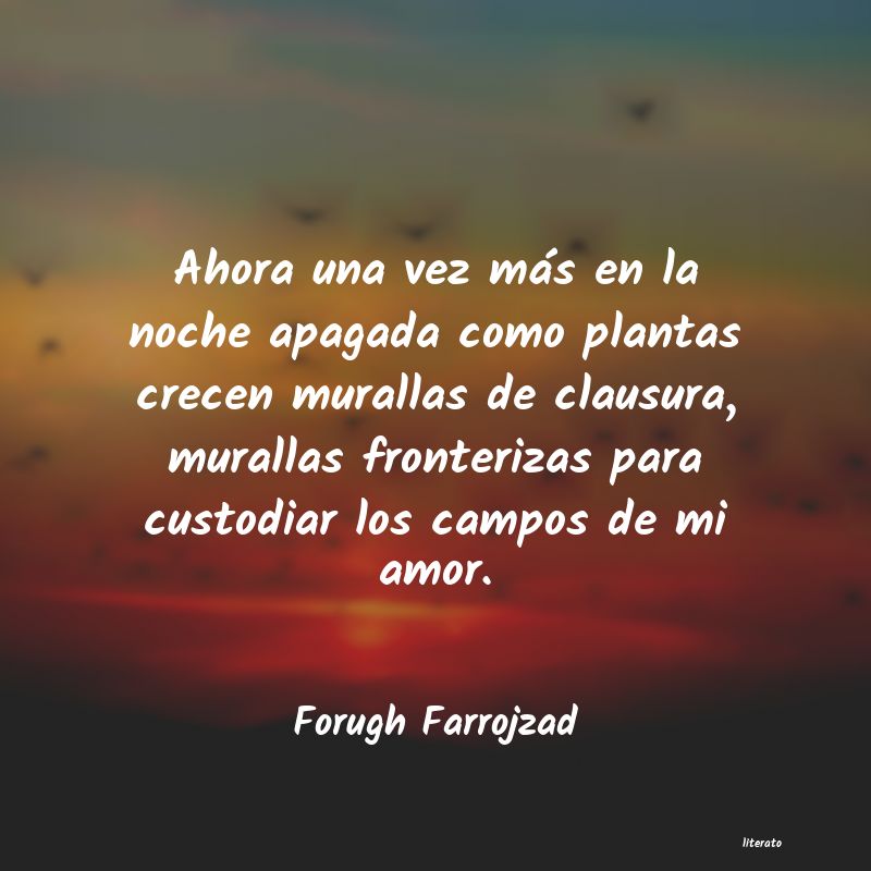 Frases de Forugh Farrojzad