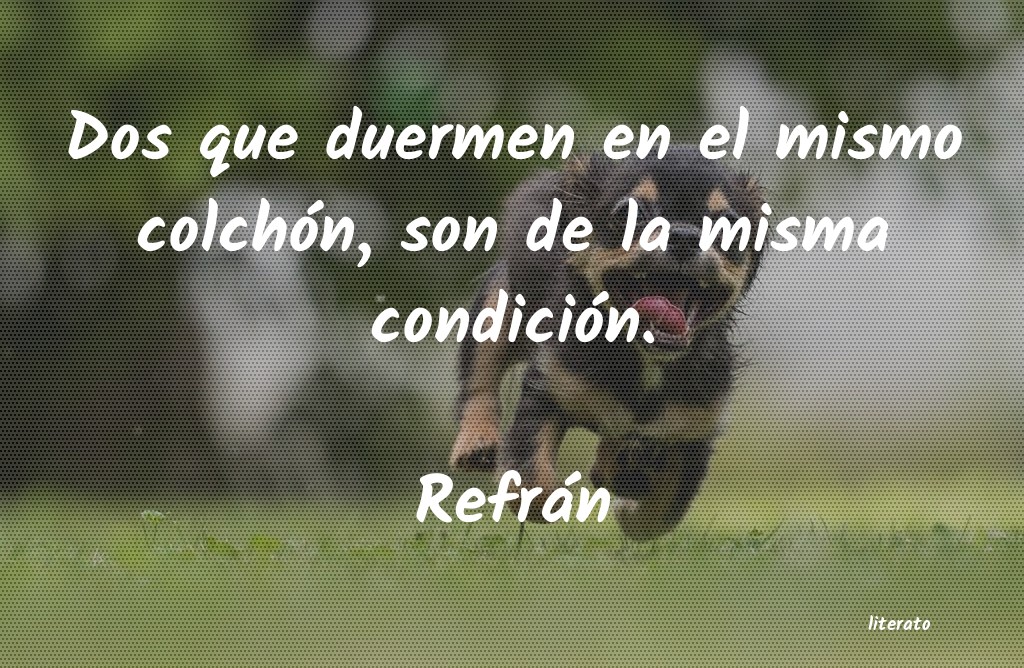 Frases de Refrán