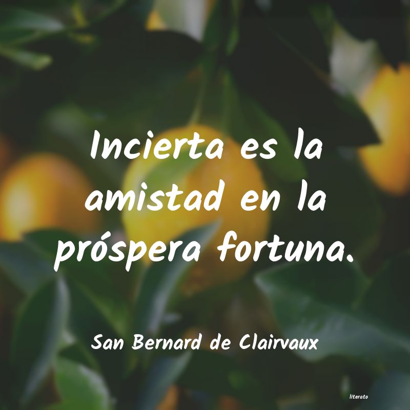 Frases de San Bernard de Clairvaux