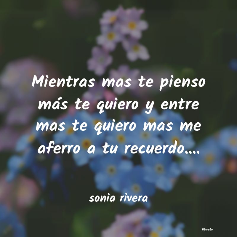 Frases de sonia rivera