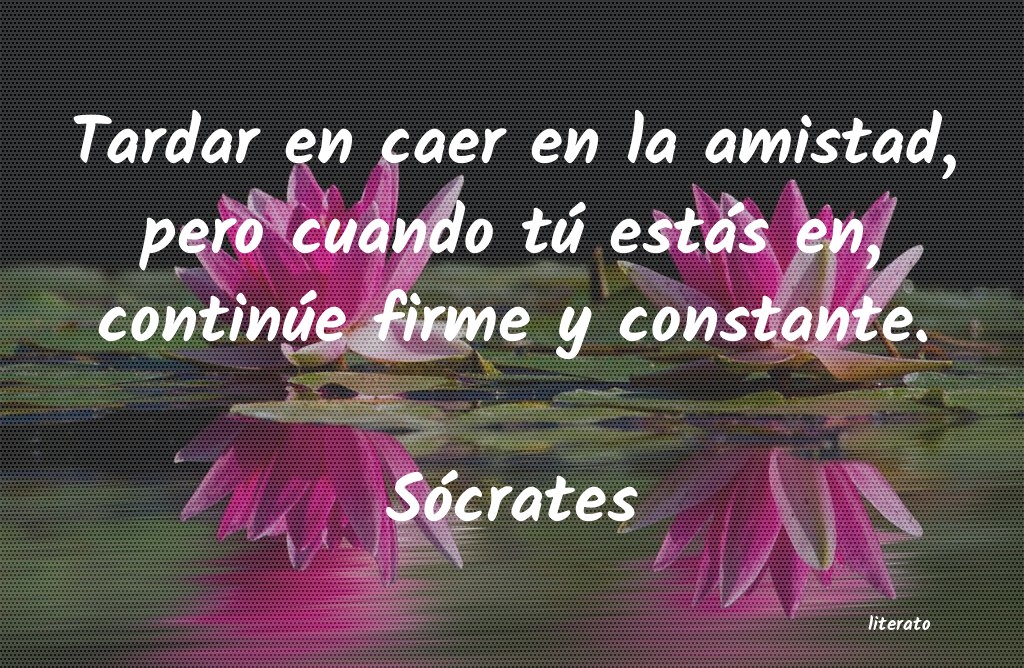 frases de SÃ³crates