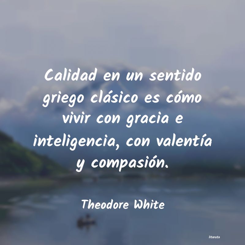 Frases de Theodore White