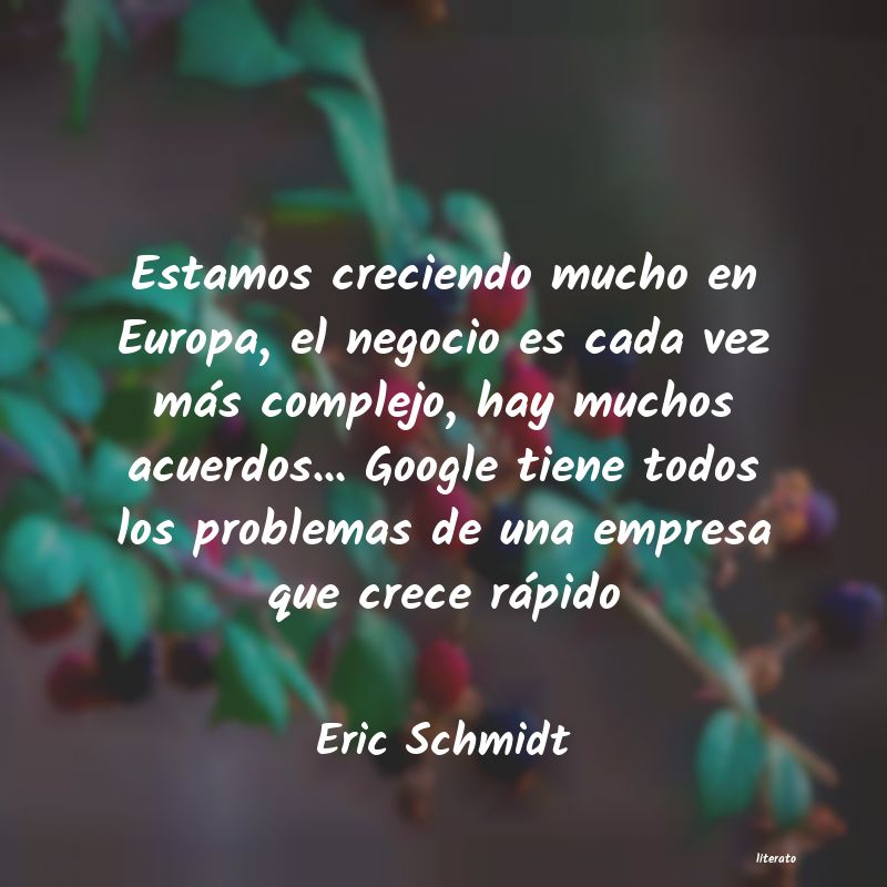 frases de Eric Schmidt